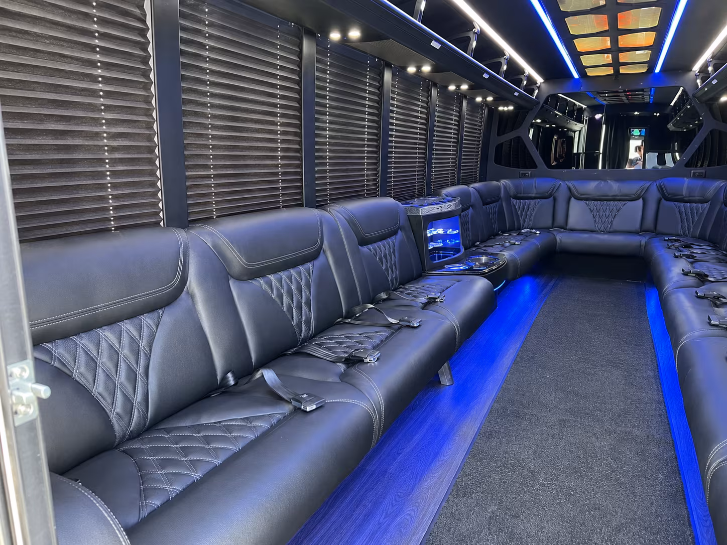 Passenger watching the Grand Rapids scenery during a regional party bus road trip
