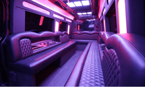 Saginaw 14 Passenger Sprinter Bus Interior