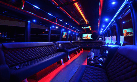 Farmington Hills 30 Passenger Party Bus Black Interior