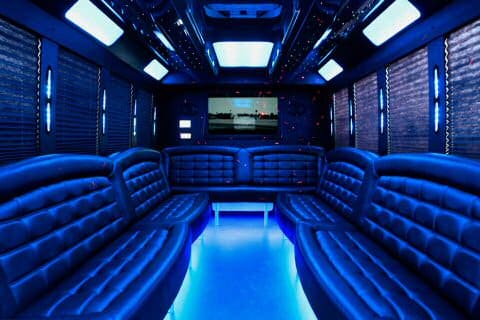 Sterling Heights 36 Passenger Party Bus Interior